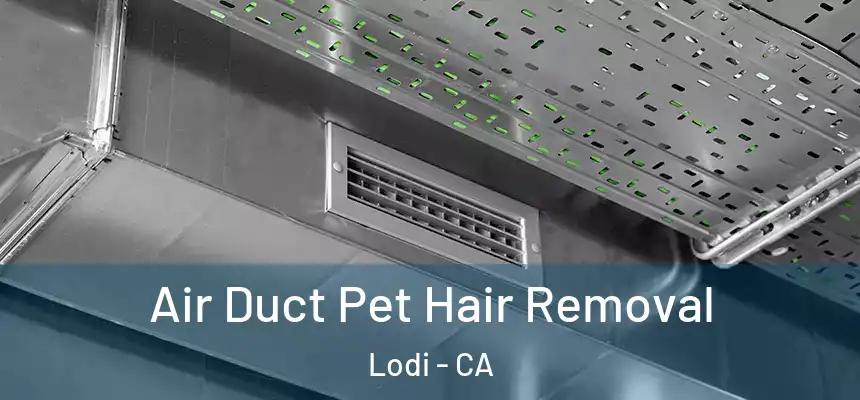  Air Duct Pet Hair Removal Lodi - CA