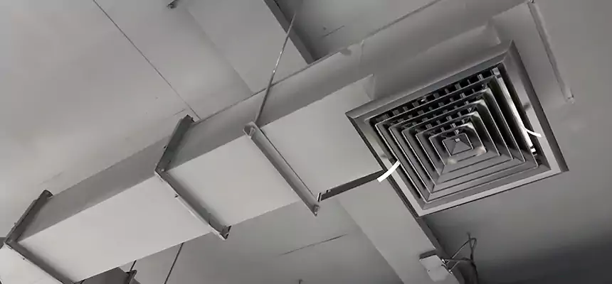 Our Rodent Droppings In Vents Services in Lodi, CA