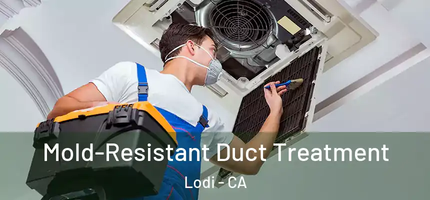  Mold-Resistant Duct Treatment Lodi - CA