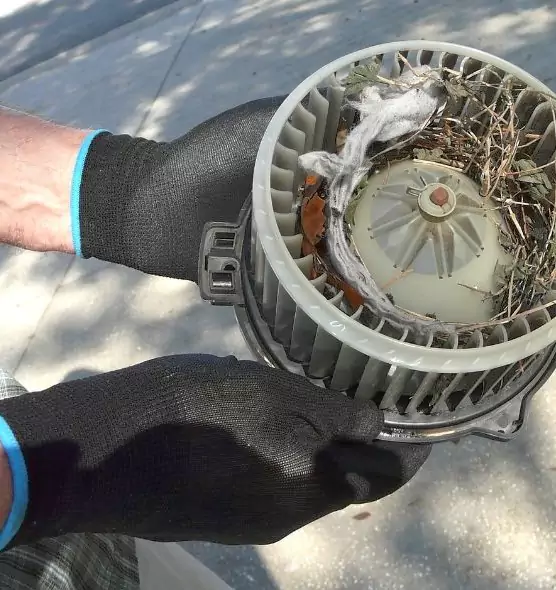 About Air Duct Rat Removal in Lodi, CA