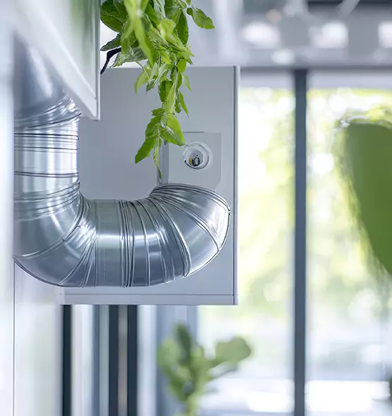 Professional Eco-Friendly Duct Cleaning Services in Lodi, CA