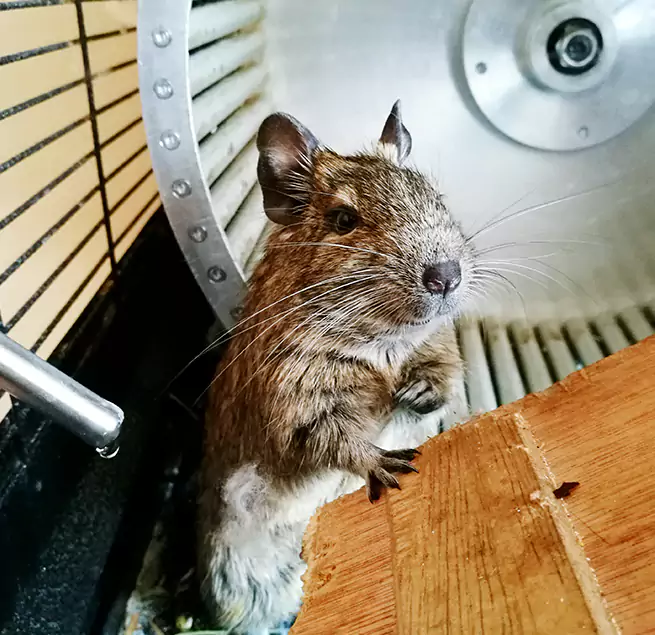 Why Homeowners & Businesses Trust Us Lodi, CA?