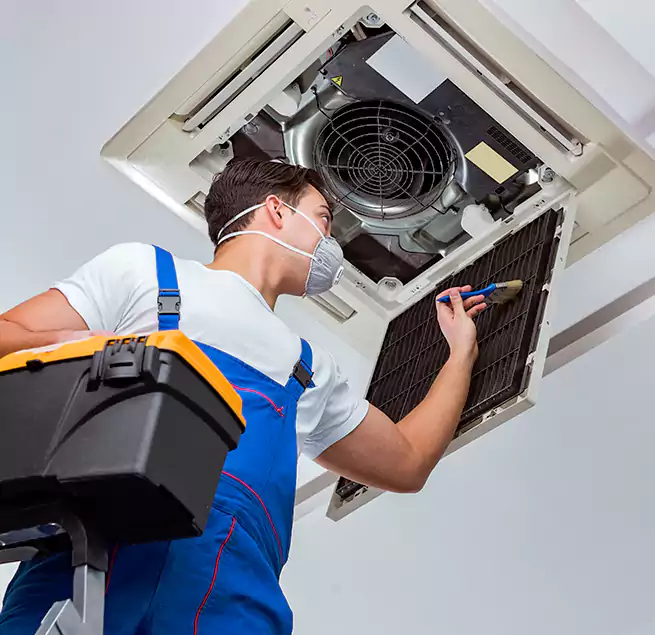 Why Homeowners & Businesses Trust Us in Lodi, CA