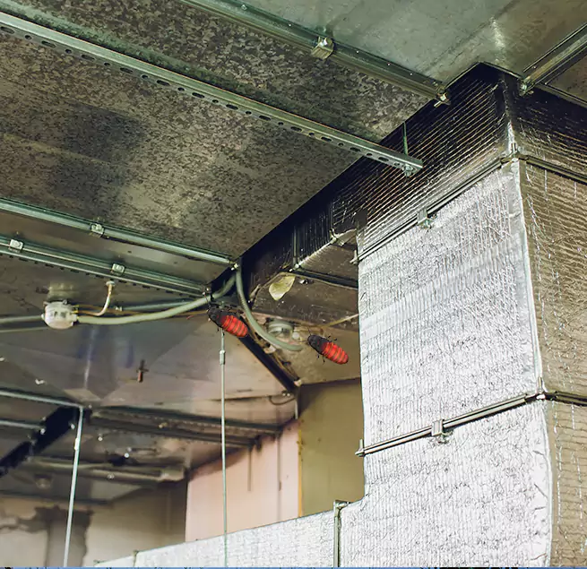 Why Homeowners & Businesses Trust Us Lodi, CA?