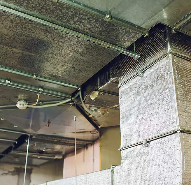 Why Homeowners & Businesses Trust Us in Lodi, CA?